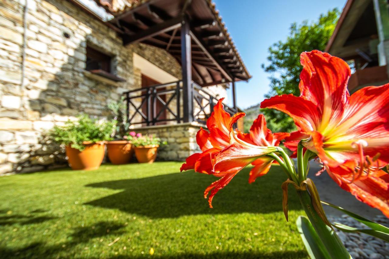 Lefkara Villa Kato Lefkara エクステリア 写真