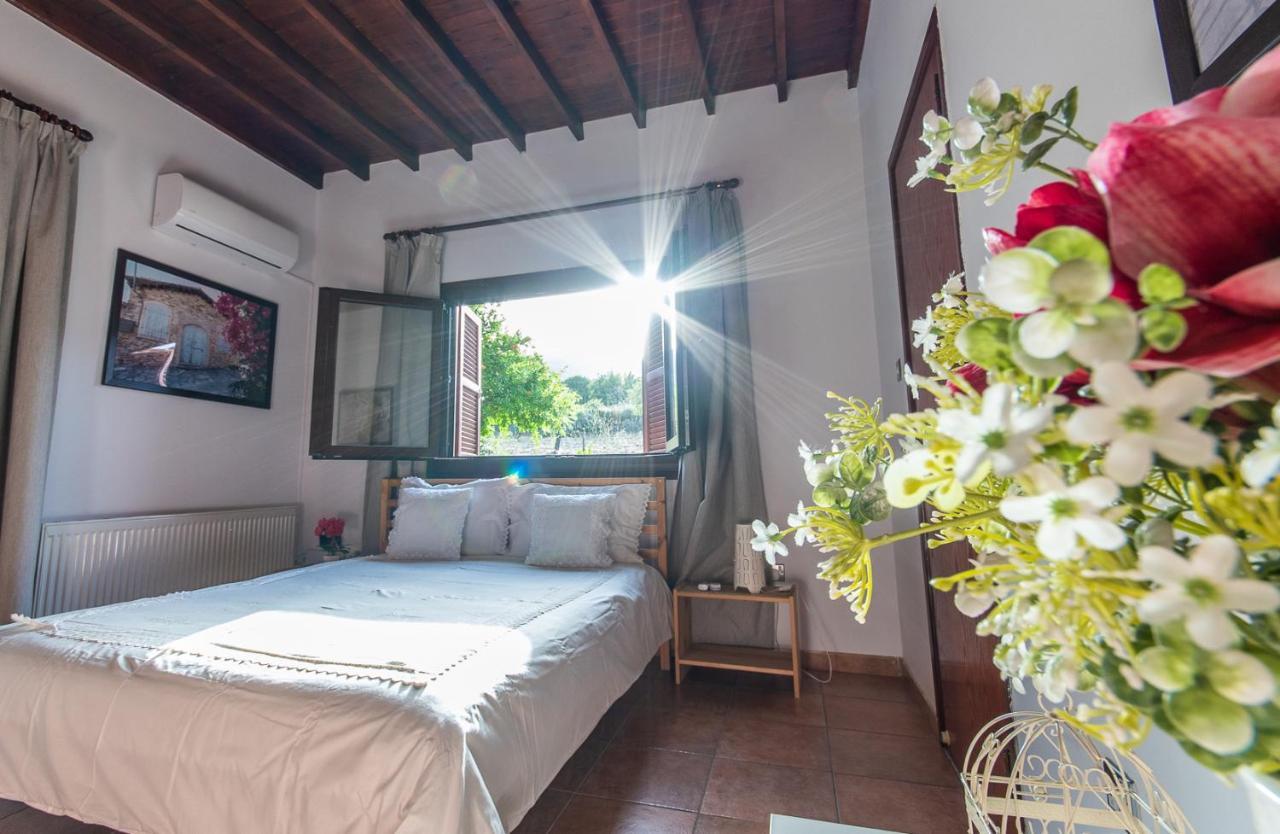 Lefkara Villa Kato Lefkara エクステリア 写真